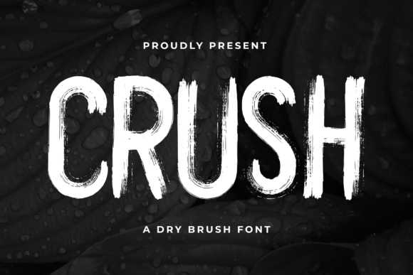 Crush: A Bold Display Font for Editorial Design